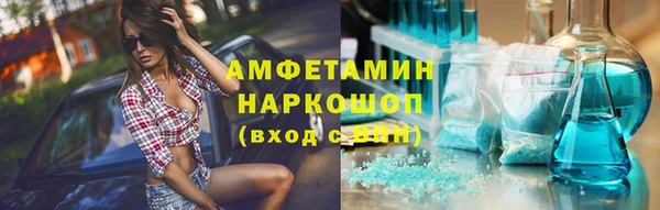 индика Гусев