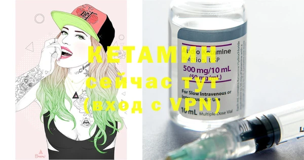 индика Гусев
