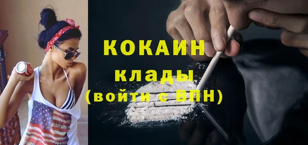 индика Гусев