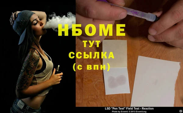 индика Гусев