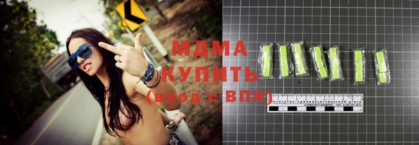 индика Гусев