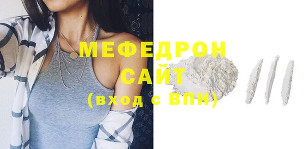 индика Гусев