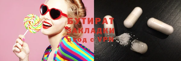 индика Гусев