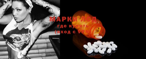 индика Гусев