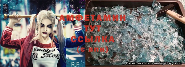 индика Гусев