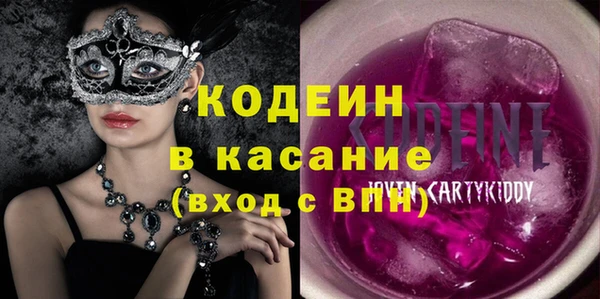 индика Гусев