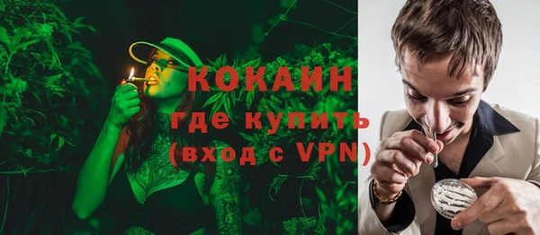 индика Гусев