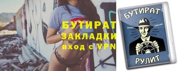 индика Гусев