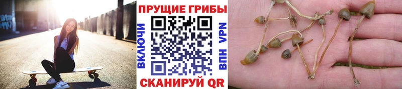 KRAKEN ONION  Емва  Псилоцибиновые грибы GOLDEN TEACHER  где продают наркотики 